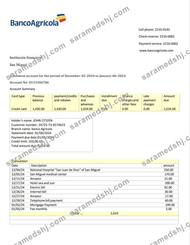Dominican Republic Banco Agricola bank statement 3 – 6 months Word and PDF example